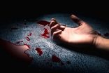 دستگیری قاتل وکیل تهرانی در سیمون بولیوار