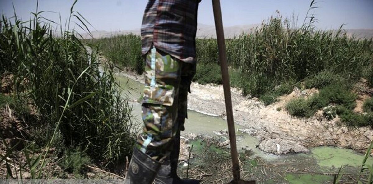   اینجا در بیخ گوش تهران بیماری می‌کارند! 