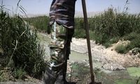 اینجا در بیخ گوش تهران بیماری می‌کارند!