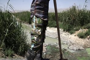 اینجا در بیخ گوش تهران بیماری می‌کارند!