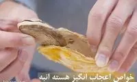 ۱۴ خاصیت اعجاب انگیز هسته انبه