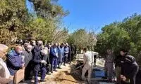 برادر میرحسین موسوی به خاک سپرده شد