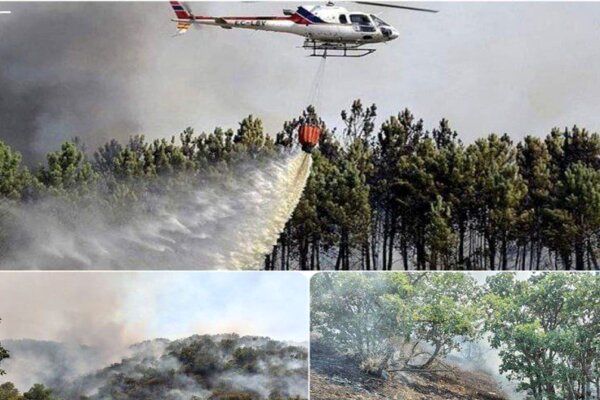 وقوع آتش‌سوزی گسترده در جنگل‌های مریوان
