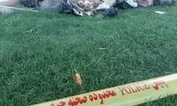 کشف جسد مثله شده یک مرد در بزرگراه رسالت تهران