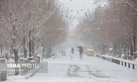 اسفندماه باید یک تنه جور کل زمستان را بکشد