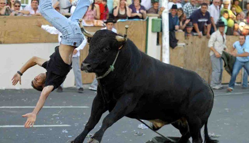 وحشی بازی یک گاو، جوان ماجراجو را مصدوم کرد