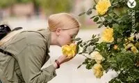 بوییدن چطور خاطرات را زنده می‌کند؟