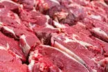 هشدار جدی درباره تب کریمه کنگو؛ این نوع گوشت را نخرید
