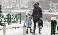 کلیه مقاطع آموزشی این استان فردا مجازی شد