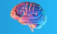 چه چیزی حواس و افکار ما را به هم نزدیک می‌کند؟