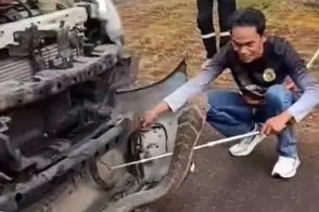 پیدا شدن شاه کبرای ۴ متری در محفظه موتور یک وانت!