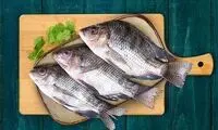 فرآیند دیدنی پرورش ماهی تیلاپیا
