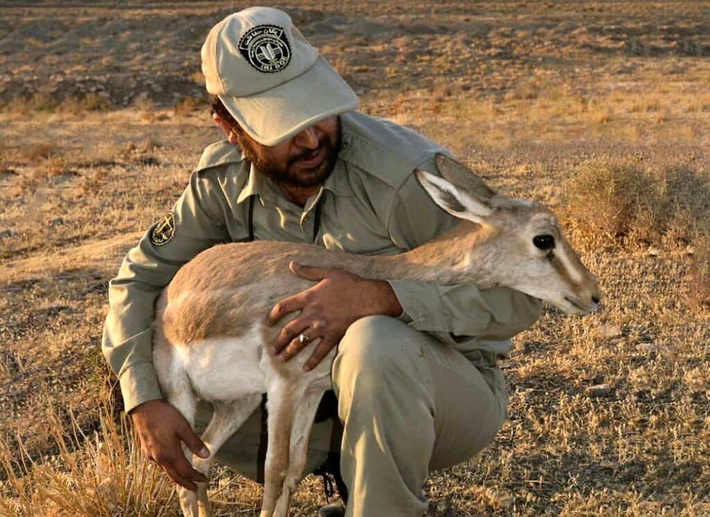 راهی برای اعدام نشدن شهلا و آرمان وجود داشت؟