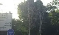 3 قاب از یک مرگ ناباورانه در شرق تهران