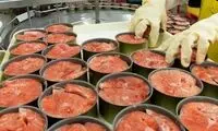 درخواست برای گرانی رب‌گوجه و تن‌ماهی