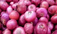 ۱۰ خاصیت عجیب و غریب پیاز که نمی دانستید