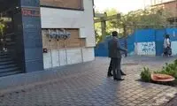 در بلوار کشاورز تهران، یک درخت قطور را کشتند