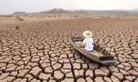 تنها استانی که از خشکسالی جان سالم به در برده است
