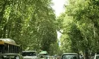 جریمه نجومی، یقه مجرمان خیابان ولیعصر را گرفت