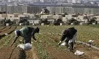 طرح مخفیانه ایران برای فلج کردن کشاورزی اسرائیل