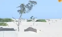 طوفان شن، شهر ساحلی را بلعید