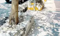 ناشی‌گری شهرداری، خیابان مشهور تهران را بی‌ریخت کرد