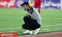 دوگانه‌ای تلخ برای گل‌محمدی