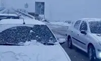 تصویر جذاب از بارش شدید برف در اشنویه