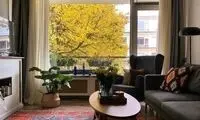 خانه 30 متری که از یک خانه 100 متری هم جذاب‌تر است