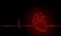 قلب این موجود در سرش قرار دارد