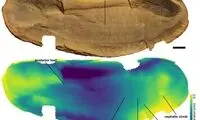 حل معمای ۷۰ ساله مرموزترین موجود تاریخ