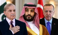کیهان، اردوغان و شهباز شریف را به گربه نره و روباه مکار تشبیه کرد!