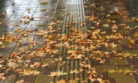 چشم تهرانی‌ها بالاخره به باران روشن شد