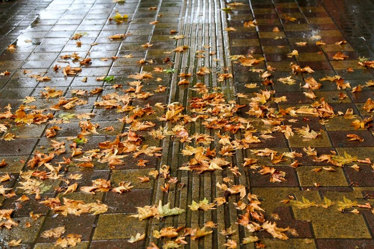 چشم تهرانی‌ها بالاخره به باران روشن شد