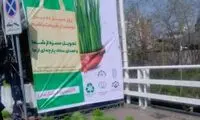 استفاده زیرکانه از سبزه عید در رشت