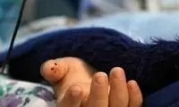 علت مرگ عجیب یک دانش‌آموز دختر در ایذه