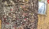 حرکت عجیبی که برای بخت‌گشایی در تهران دیده شد