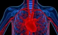 در بدن انسان چند متر رگ وجود دارد؟