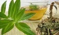 عصاره این گیاه دردهای عصبی را تسکین می‌دهد