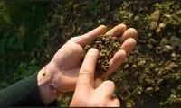 طلای سیاه دیگری که حیات بشر را تهدید می‌کند!