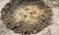 فرآیند ساخت یک کلبه جنگلیِ متفاوت توسط معمار استرالیایی 