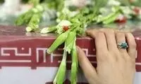 یک مرزبان در هیرمند به شهادت رسید