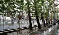 شمایل درخت تنومند بازار تهران ناگهان تغییر کرد! 