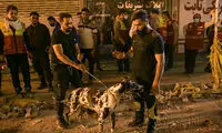 داغتان ماندنی‌ست، اما این روضه، خواندن ندارد