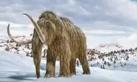 عجیب‌ترین خوراکی جهان را بشناسید 