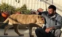علی‌اکبری: شیری که نگه‌داری می‌کردم، دزدگیر خانه پدرم بود