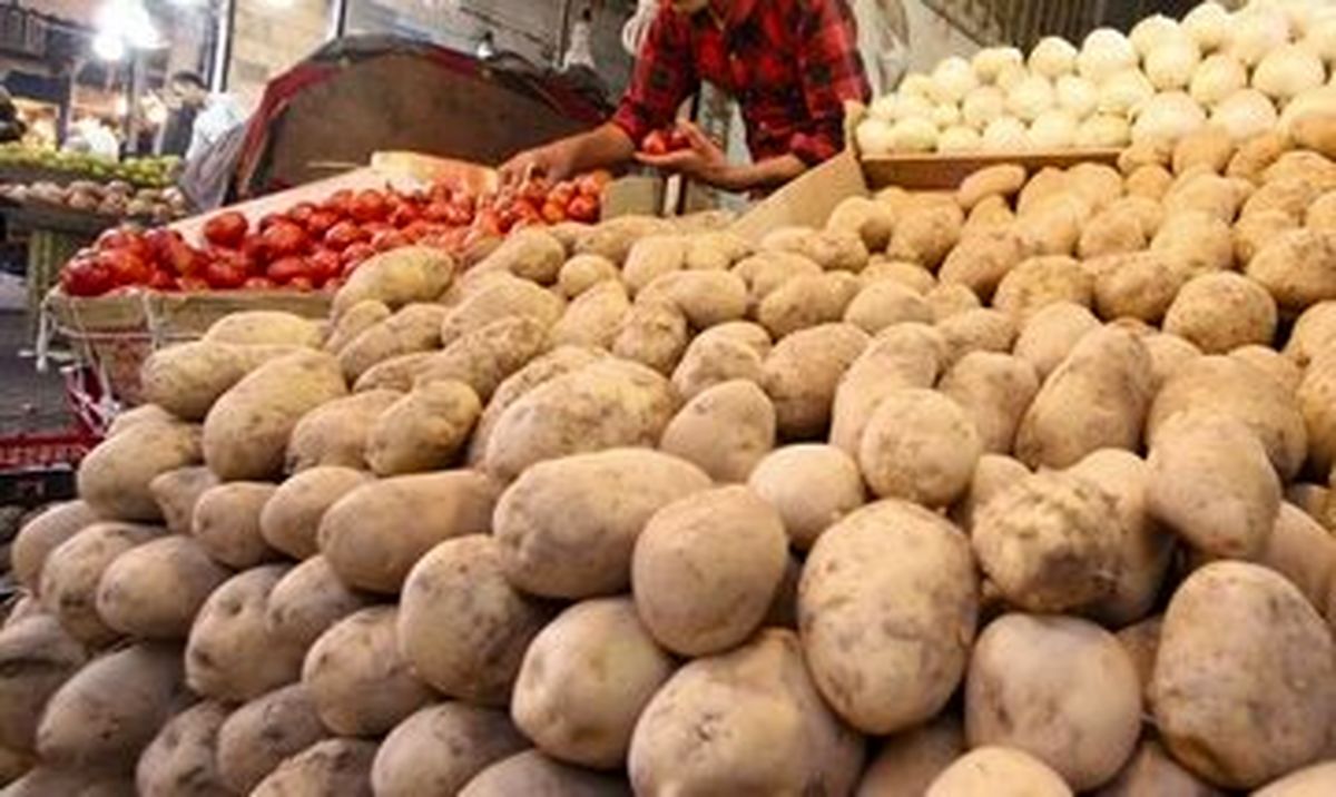 قیمت واقعی سیبزمینی اعلام شد