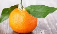پرتقال ماندارین چیست و چه خواصی دارد؟