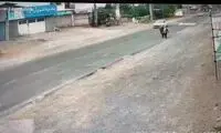 راننده معتاد پراید در نوشهر جان یک زن را گرفت!