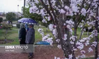 هفته اول نوروز پر بارش خواهد بود